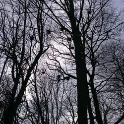 Kellie Castle & Garden - Raven haven