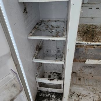 Kathys Professional Cleaning Service - Mold - Home Cleaning Near Me - Carman, Illinois Kathys Professional Cleaning Service - Mold - Home Cleaning Near Me - Carman, Illinois