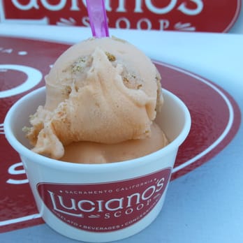 Luciano's Scoop - Pumpkin pie gelato...FANTASTIC! - Gelato Near Me - Sacramento, California