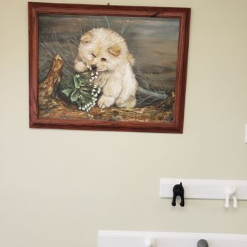 Bessie's Pet Grooming - Bessie not only grooms amazingly, she paints! all art work hung up is painted by her - Pet Groomers Near Me - Annandale, Virginia Bessie's Pet Grooming - Bessie not only grooms amazingly, she paints! all art work hung up is painted by her - Pet Groomers Near Me - Annandale, Virginia