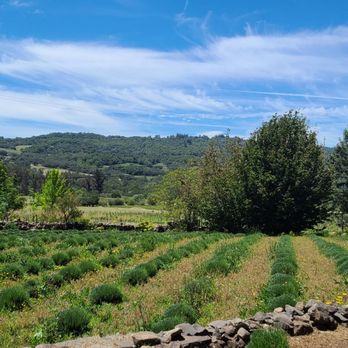 Matanzas Creek Winery - Wine Tasting Room Near Me - Santa Rosa, California Matanzas Creek Winery - Wine Tasting Room Near Me - Santa Rosa, California