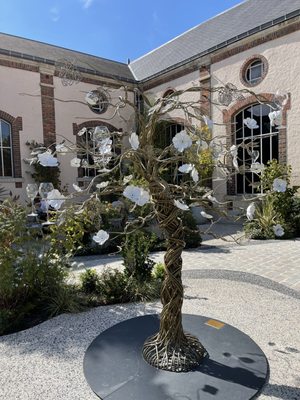 Perrier-Jouet by null