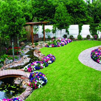 Custom Tree Trimming Design - Tree Services Near Me - Redlands, California Custom Tree Trimming Design - Tree Services Near Me - Redlands, California