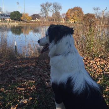Wisconsin Humane Society - Animal Shelters Near Me - Milwaukee, Wisconsin Wisconsin Humane Society - Animal Shelters Near Me - Milwaukee, Wisconsin