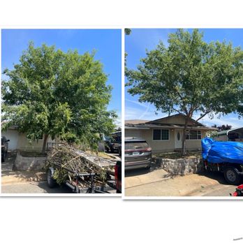 J’s Lawn Maintenance & Tree Removal - Trim up - Lawn Services Near Me J’s Lawn Maintenance & Tree Removal - Trim up - Lawn Services Near Me