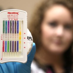 Rapid Drug Testing Service