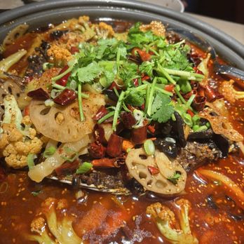 Sichuan Fish Restaurant - Szechuan Near Me - North Miami Beach, Florida Sichuan Fish Restaurant - Szechuan Near Me - North Miami Beach, Florida