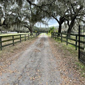A Country Cat House - The one-lane road leading to A Country Cat House - Pet Sitting Near Me - Riverview, Florida A Country Cat House - The one-lane road leading to A Country Cat House - Pet Sitting Near Me - Riverview, Florida