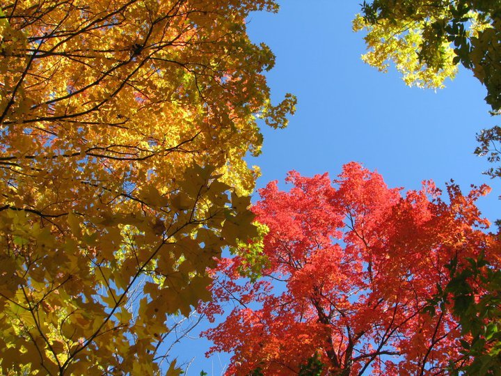 CAMPERS HAVEN FAMILY CAMPGROUND Updated September 2024 2326 S Van