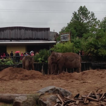 Chester Zoo - Zoos Near Me - Chester, CHW