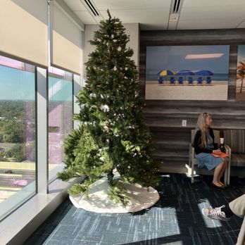 Rothman Orthopaedics - A Christmas tree already? - Orthopedists Near Me - Orlando, Florida Rothman Orthopaedics - A Christmas tree already? - Orthopedists Near Me - Orlando, Florida