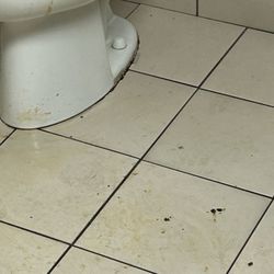 JCPenney - With only one bathroom in the store you'd think they would clean it once in awhile