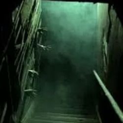 Paranormal Investigations