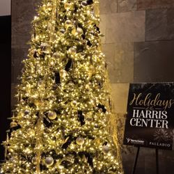 Harris Center/Three Stages - Festive first floor level
