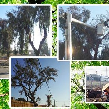 Halsey's Tree Service - Tree Services Near Me Halsey's Tree Service - Tree Services Near Me