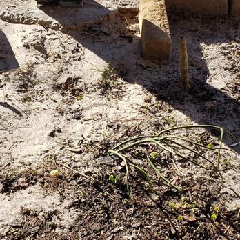 Gutter Solutions - Damages - Gutter Services Near Me - Pensacola, Florida Gutter Solutions - Damages - Gutter Services Near Me - Pensacola, Florida