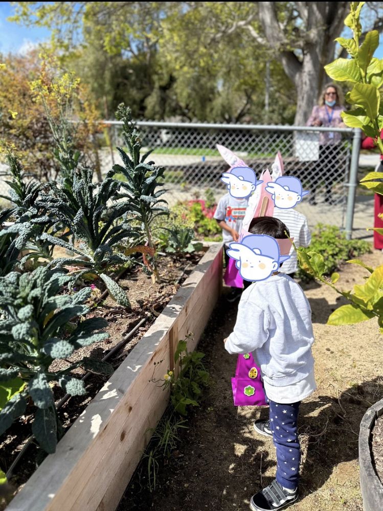 Valmonte Early Learning Academy - childcare center in Palos Verdes Estates, CA