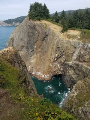 Oswald West State Park by null