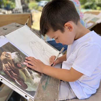Diane Wallace Art Studio - Art Classes Near Me - Morgan Hill, California Diane Wallace Art Studio - Art Classes Near Me - Morgan Hill, California