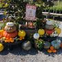Photo of Gateway Garden Center