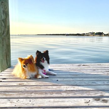 The Blue Point - Great views and little pier right outside - New American Near Me - Duck, North Carolina