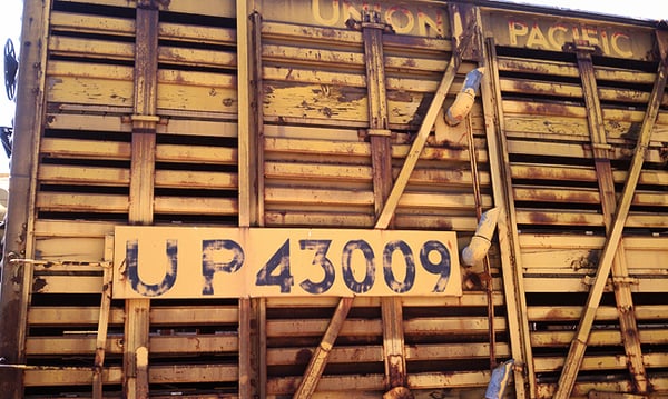 Pacific Southwest Railway Museum by null