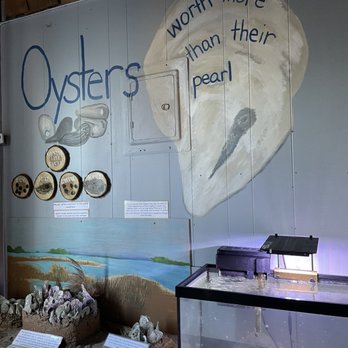 Topsail Aquarium - Murals on all the walls are so cute - Aquariums Near Me - Surf City, North Carolina