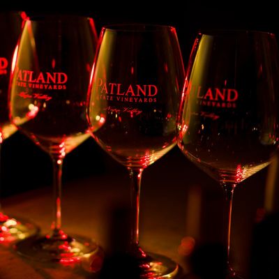Patland Estate Vineyards by null