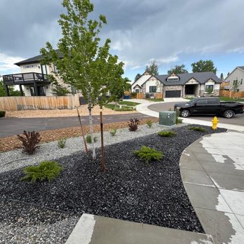 All In One - New rock and shrubs - Landscaping Near Me All In One - New rock and shrubs - Landscaping Near Me