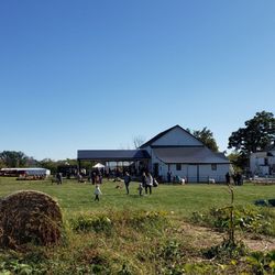 Schappacher Farm