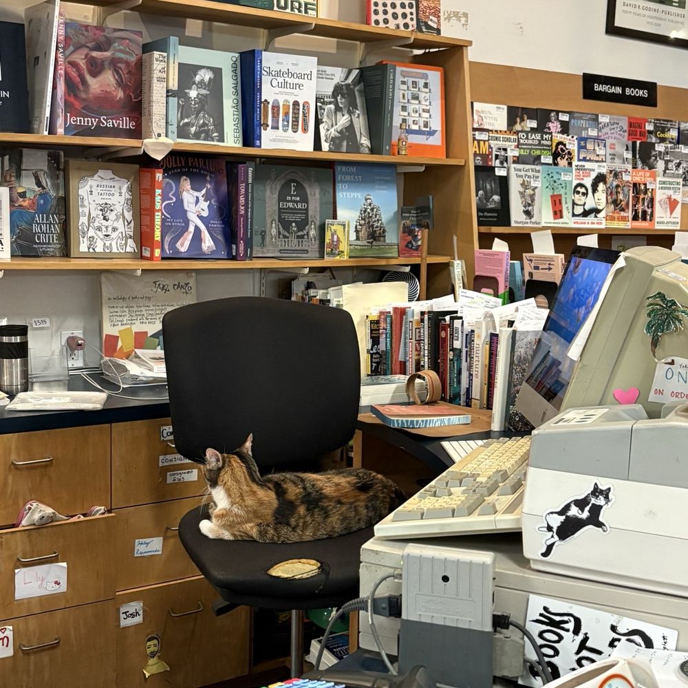 cat behind cashier desk :)