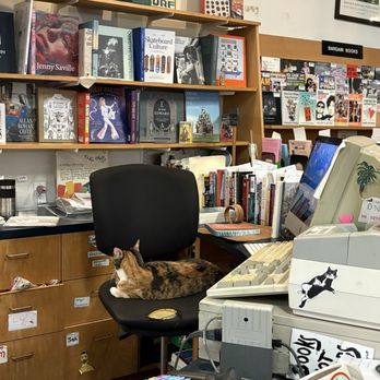 Small World Books - cat behind cashier desk :) - Bookstores Near Me - Venice, California