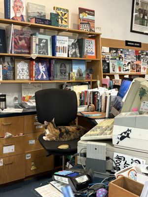 Small World Books by null