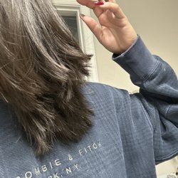 PR at Partners - The before--butchered by another hair salon
