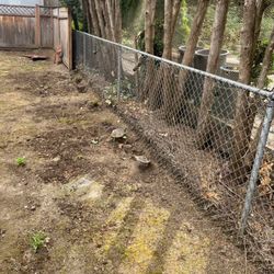 Moose Construction - Before: stump grinding
