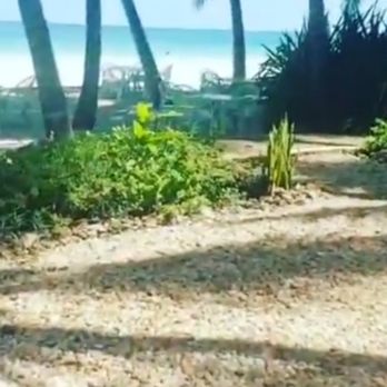 AIR BP Italia - Blue Marlin Beach Resort, Diani Beach, Kenya - Rome, RM