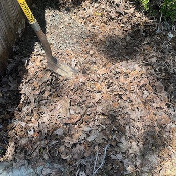 Lawn Care Up - Leaves piled up and raked into the corner against the fence. - Lawn Services Near Me - Sacramento, California Lawn Care Up - Leaves piled up and raked into the corner against the fence. - Lawn Services Near Me - Sacramento, California