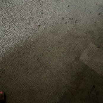 Carpet Ninja - Before - Carpet Cleaning Near Me Carpet Ninja - Before - Carpet Cleaning Near Me