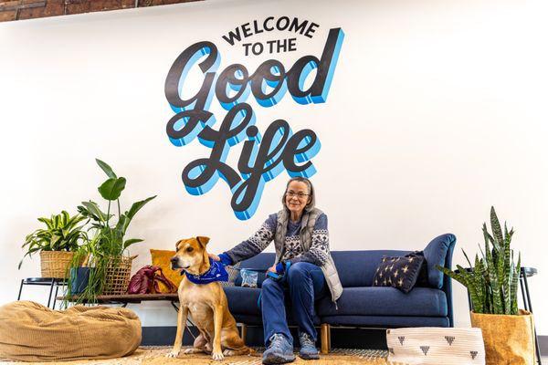 One Tail at a Time - PDX by null