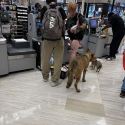 Ralphs - Dogs in the grocery store near the produce section!