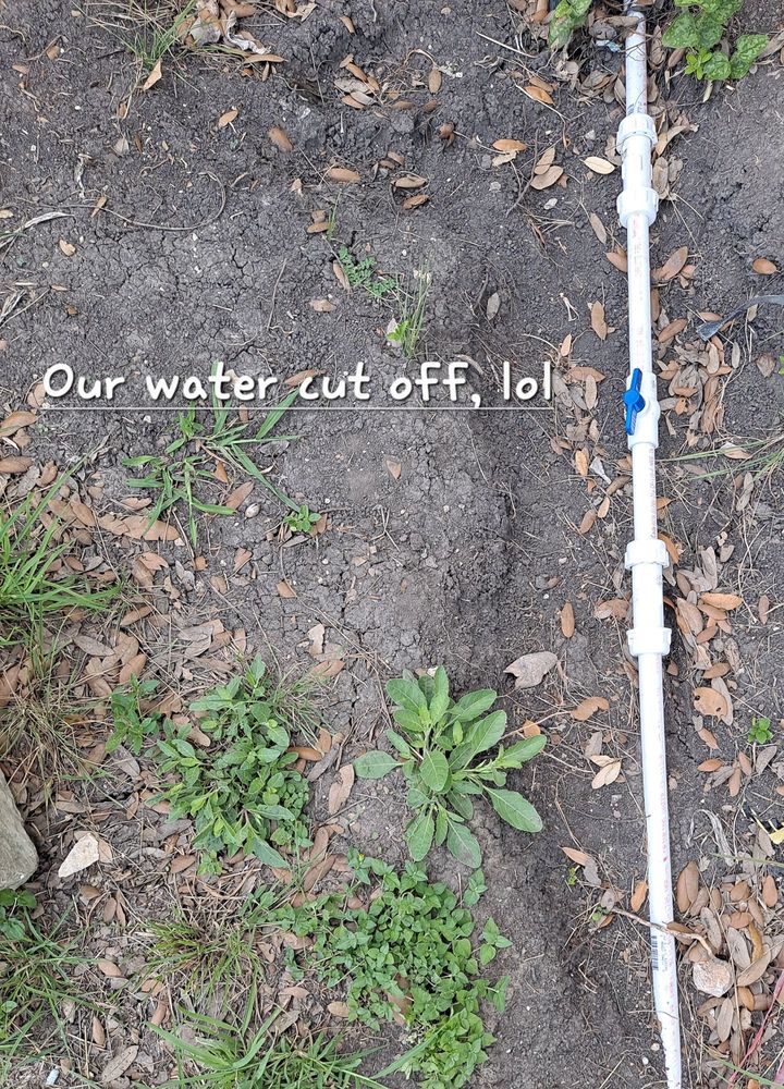 RANCHERO ESTATES MOBILE HOME COMMUNITY Updated June 2024 19 Photos