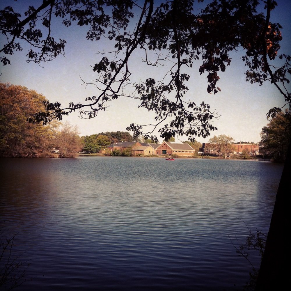 horn pond horn pond