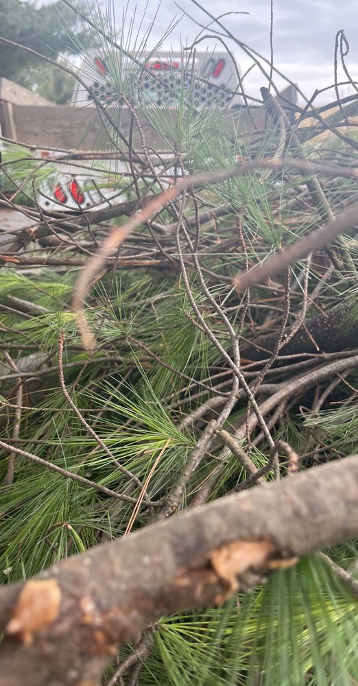 Slide of K&B Services