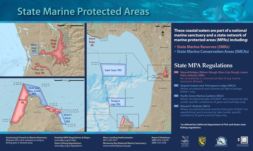 PORTUGUESE LEDGE STATE MARINE CONSERVATION AREA Offshore Monterey Bay, Moss Landing