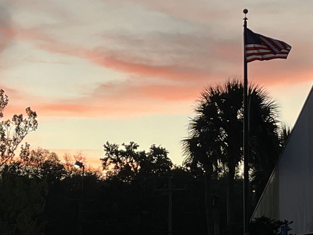 USPS Updated October 2024 42 Photos & 26 Reviews 1315 Oakfield Dr, Brandon, Florida Post