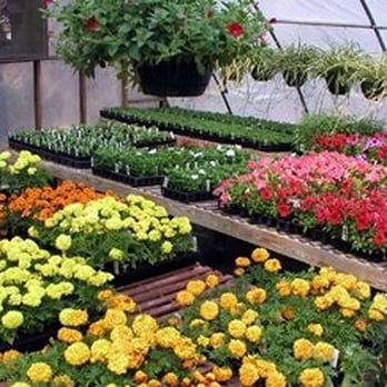 Guardado Landscaping - Seasonal Color available at Guardado Garden Center - Landscaping Near Me - Fort Worth, Texas Guardado Landscaping - Seasonal Color available at Guardado Garden Center - Landscaping Near Me - Fort Worth, Texas