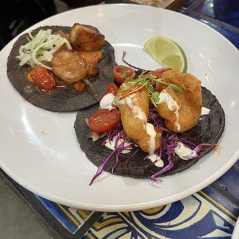 Holbox - Scallop Taco and Baja Shrimp Taco - Latin American Near Me - Los Angeles, California Holbox - Scallop Taco and Baja Shrimp Taco - Latin American Near Me - Los Angeles, California