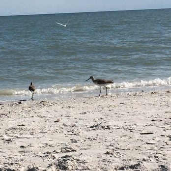 Gulfside City Park - Beaches Near Me - Sanibel, Florida
