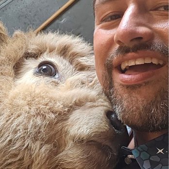 Bougie Cattle Company - This is my husband with one of the cows - Petting Zoos Near Me - Apple Valley, California