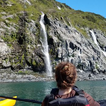 Alaska Wild Guides - the kittiwake rookery...before the eagles came - ATV Rentals/Tours Near Me